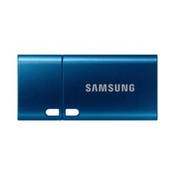Samsung USB Type-C™ USB 3.2 Gen 1 Flash Drive - 256 GB Blau